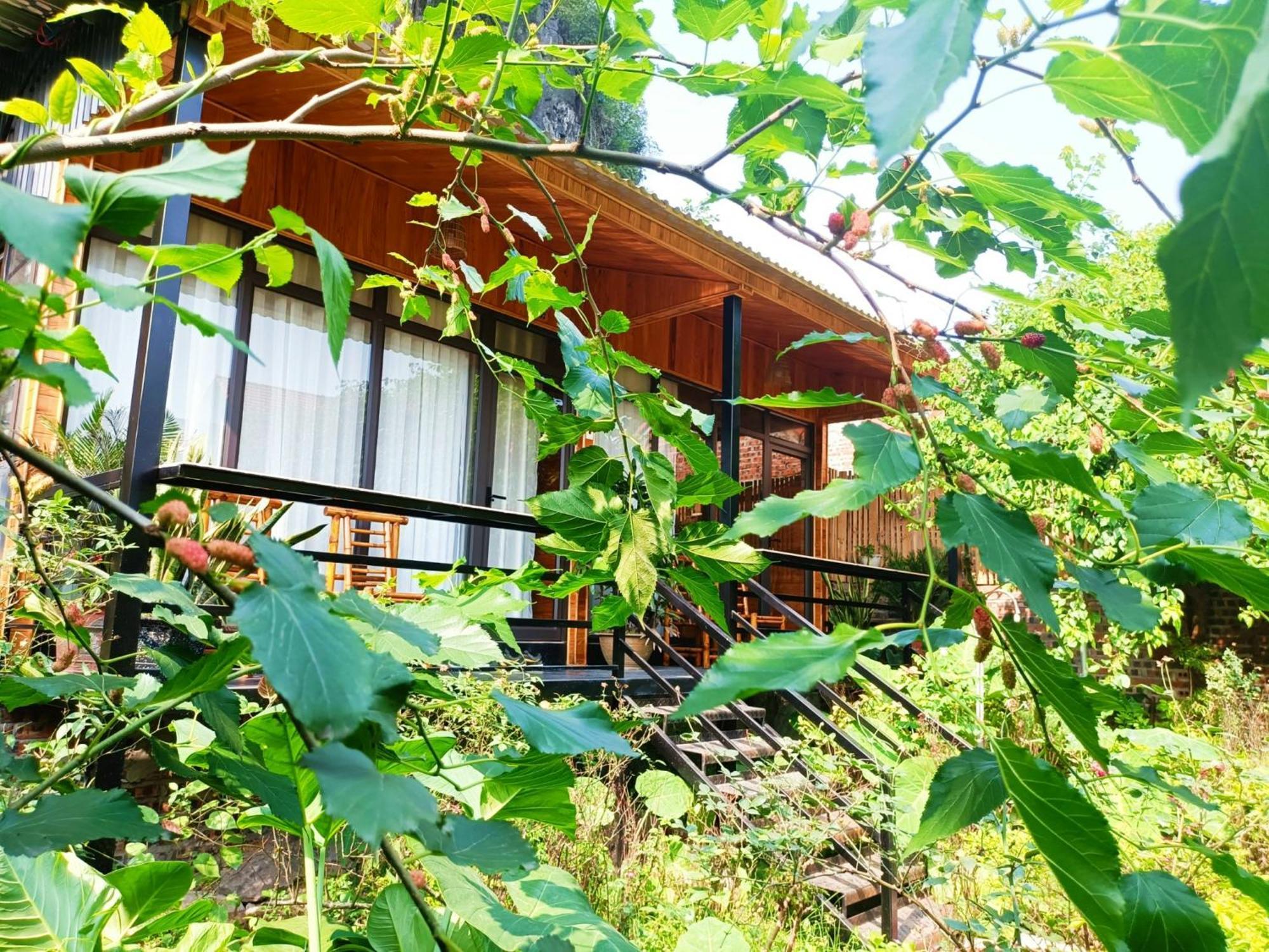 Tam Coc Sunshine Homestay Ninh Binh Luaran gambar