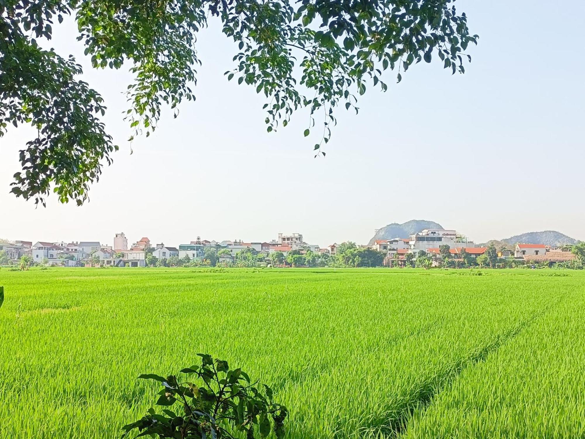 Tam Coc Sunshine Homestay Ninh Binh Luaran gambar