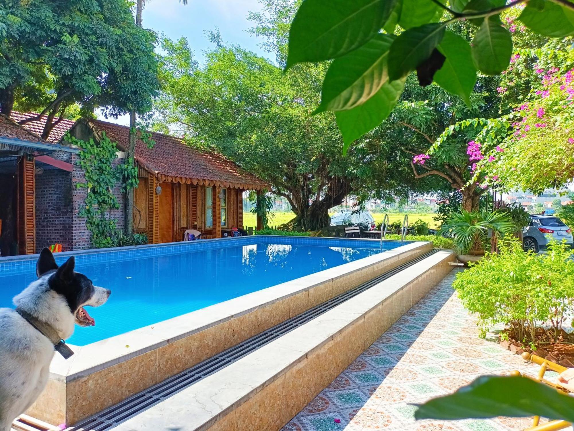Tam Coc Sunshine Homestay Ninh Binh Luaran gambar