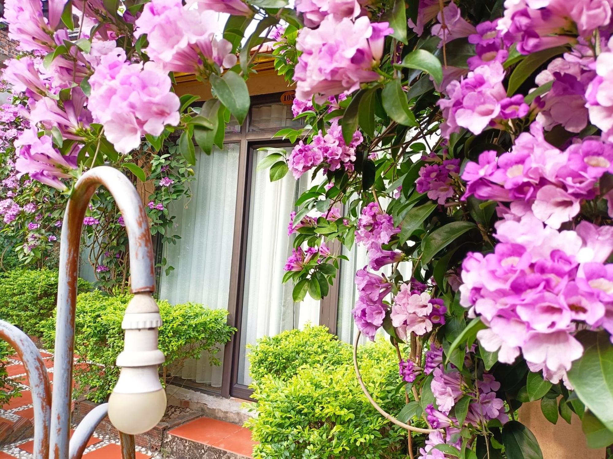 Tam Coc Sunshine Homestay Ninh Binh Luaran gambar