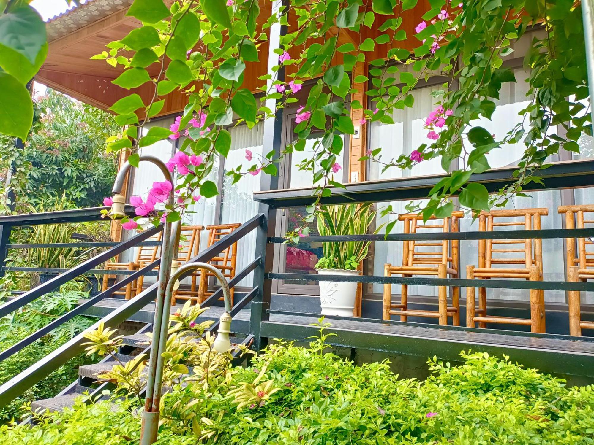 Tam Coc Sunshine Homestay Ninh Binh Luaran gambar