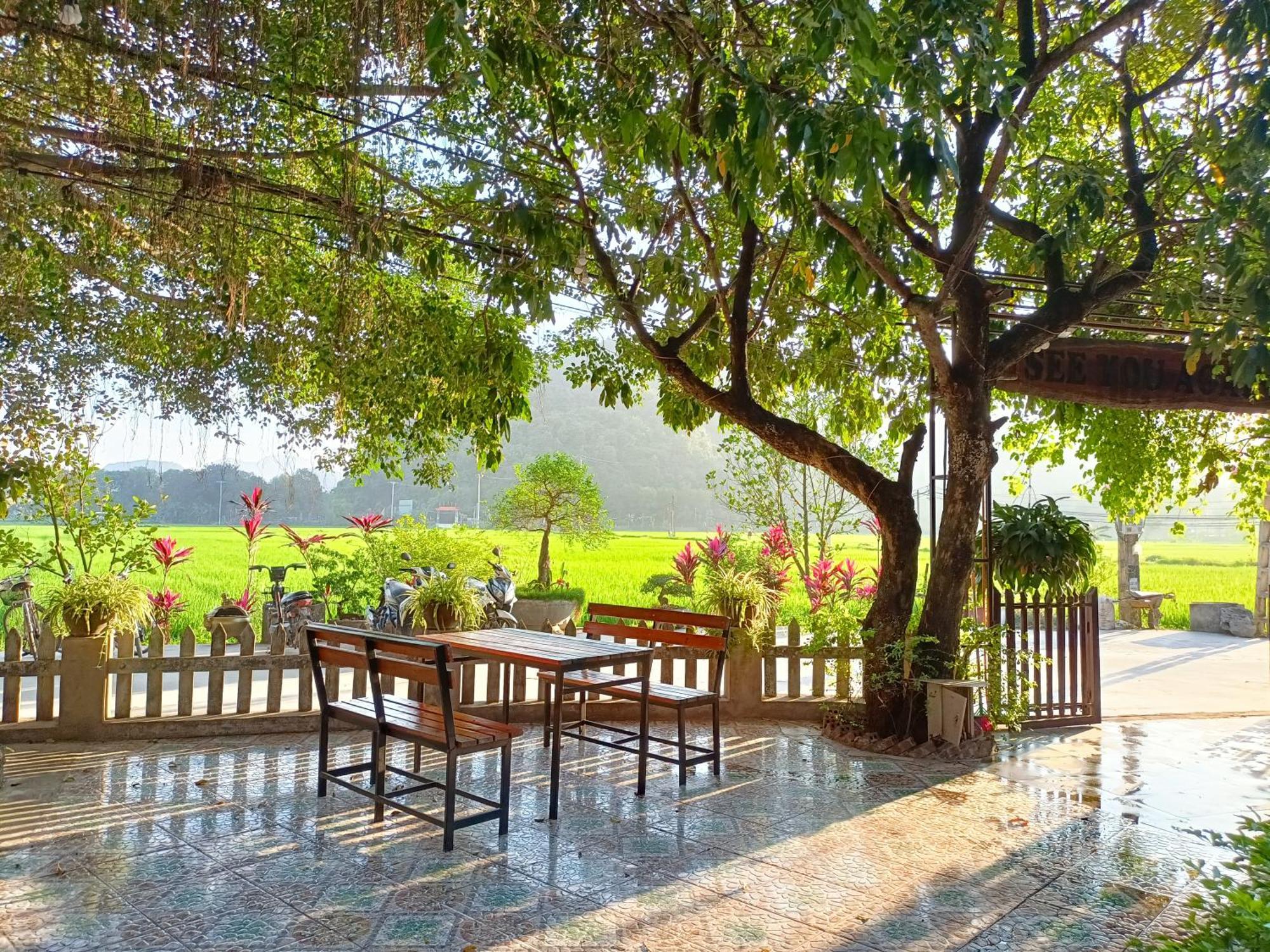 Tam Coc Sunshine Homestay Ninh Binh Luaran gambar