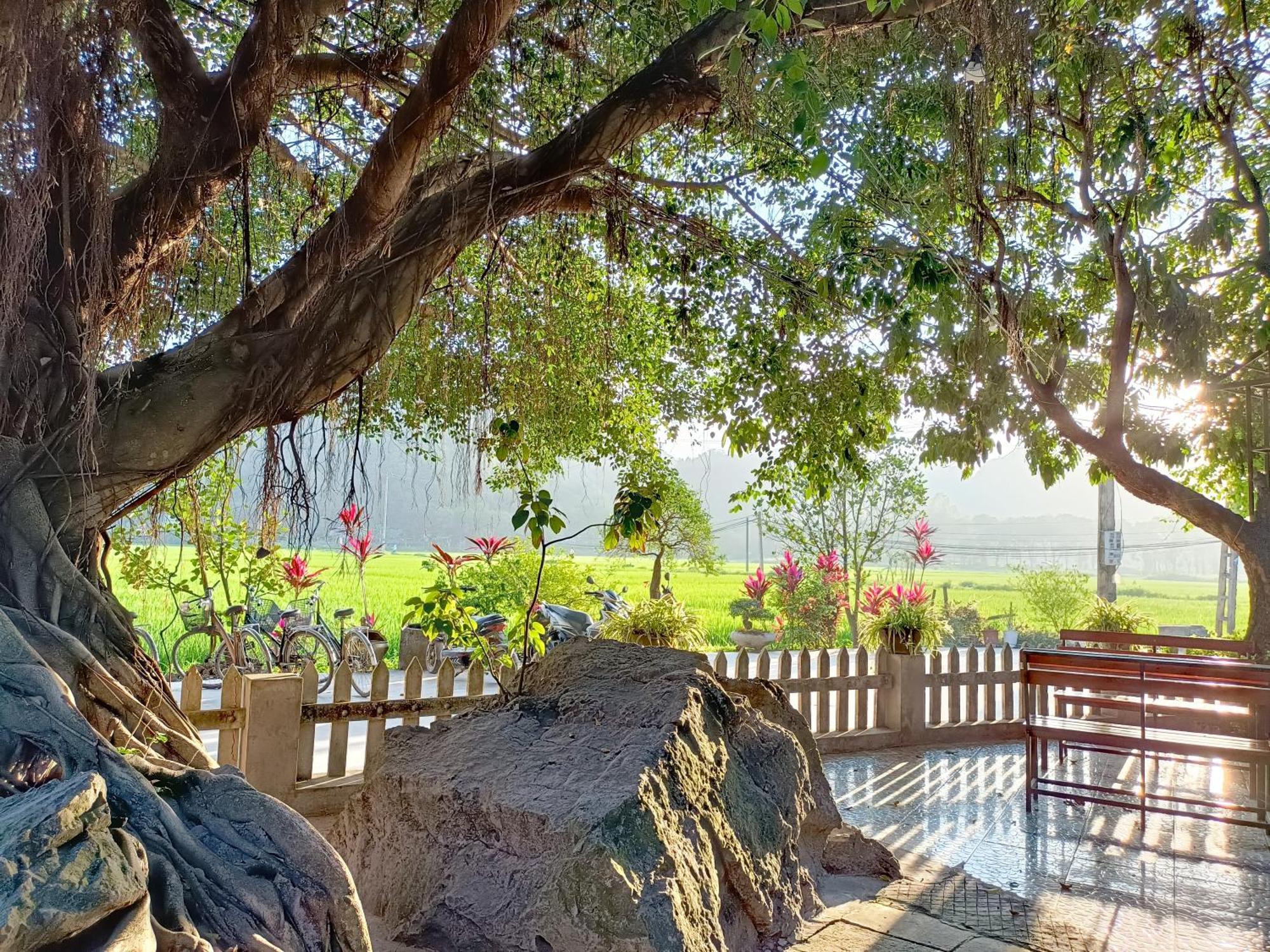 Tam Coc Sunshine Homestay Ninh Binh Luaran gambar