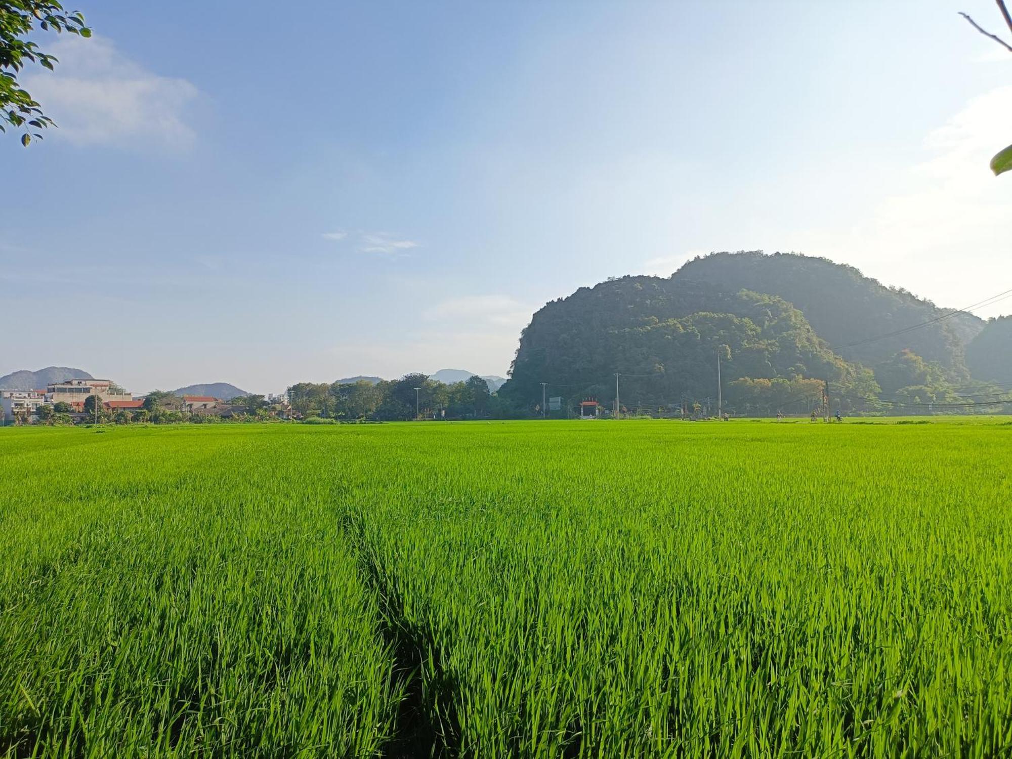 Tam Coc Sunshine Homestay Ninh Binh Luaran gambar